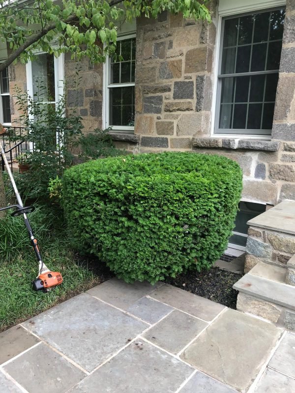 WhatsApp Image 2024-08-05 at 11.41.50 AM (1)