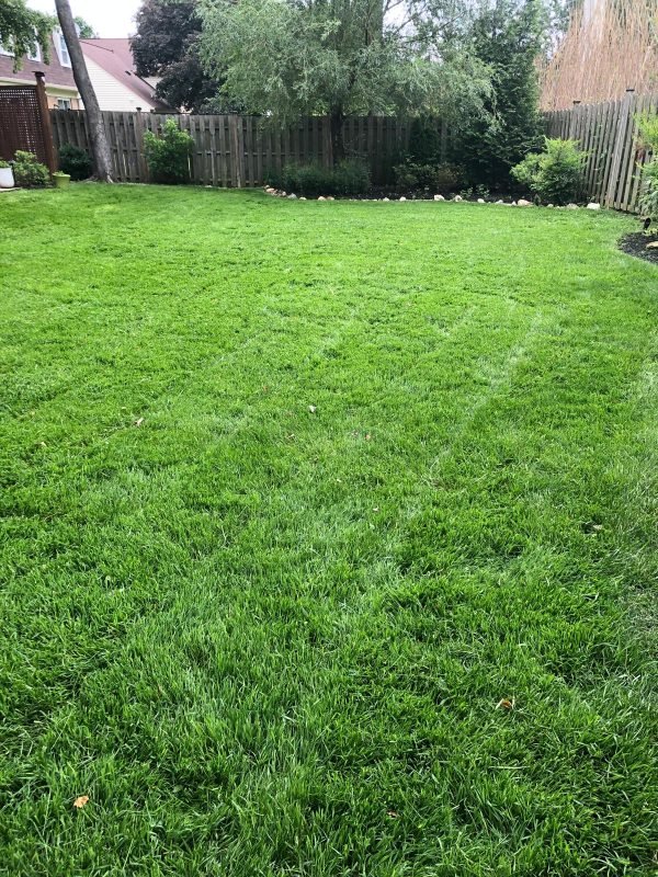 WhatsApp Image 2024-08-05 at 11.41.51 AM