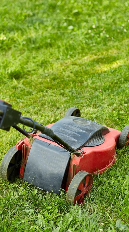 unrecognizable-woman-mows-the-lawn-with-a-lawn-mower-grass-at-home-garden-gardener-woman-working-1.jpg unrecognizable-woman-mows-the-lawn-with-a-lawn-mower-grass-at-home-garden-gardener-woman-working-1.jpg